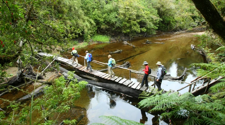 Turistas cruzan un puente colgante imagen